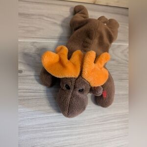 Moose, Chocolate, Ty Beanie Baby, Plush toy with no hang tag, collectible